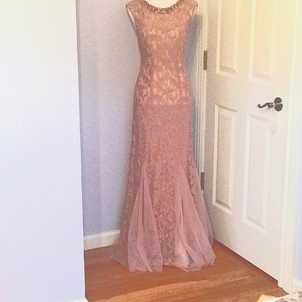 Alex Evenings Mermaid  Lace Evening Gown. Mother of the Bride/groom.